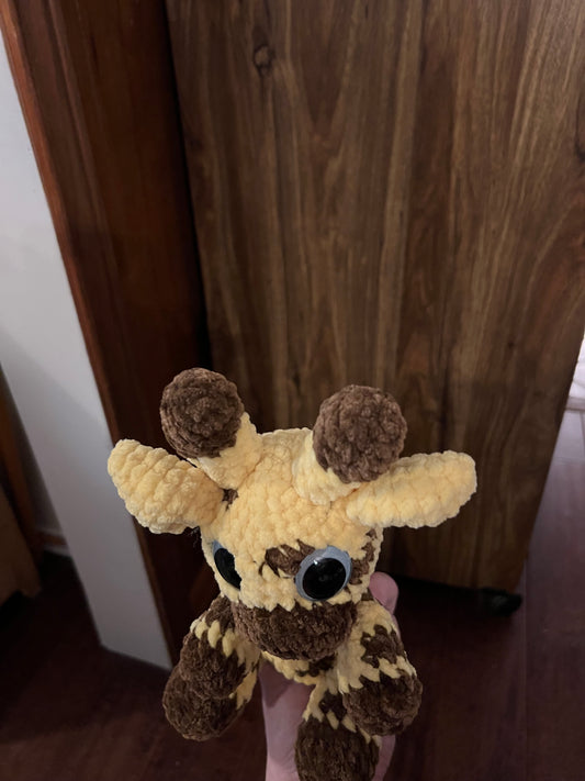 Raffi, the giraffe ￼